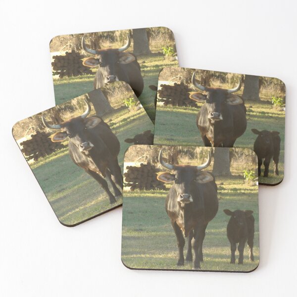 Item preview, Angus Cow - Angus Cattle - Angus Beef designed and sold by animal-animal.