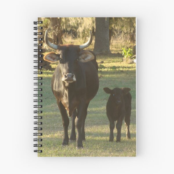 Item preview, Angus Cow - Angus Cattle - Angus Beef designed and sold by animal-animal.
