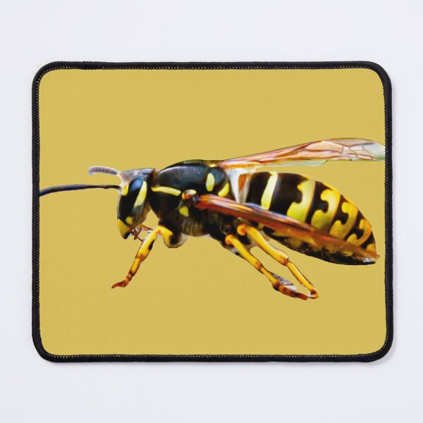 Item preview, Yellow Jacket designed and sold by Dalyndigital Photography.