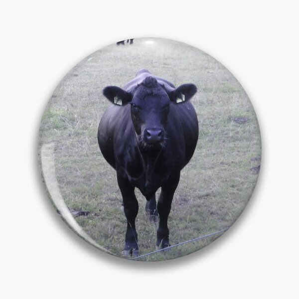 Item preview, Angus Cow - Angus Cattle - Angus Beef designed and sold by animal-animal.