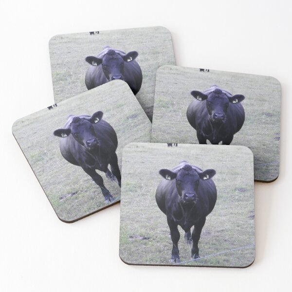 Item preview, Angus Cow - Angus Cattle - Angus Beef designed and sold by animal-animal.