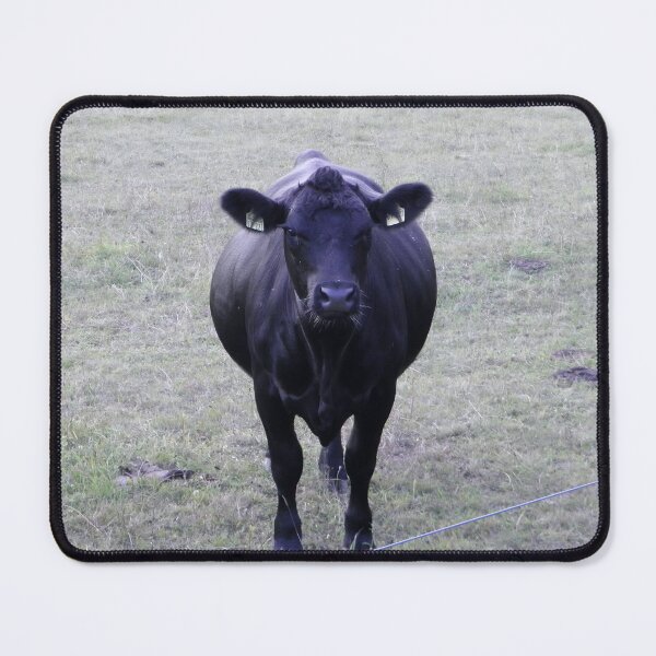Item preview, Angus Cow - Angus Cattle - Angus Beef designed and sold by animal-animal.