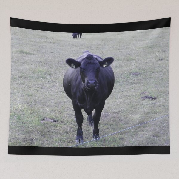 Item preview, Angus Cow - Angus Cattle - Angus Beef designed and sold by animal-animal.