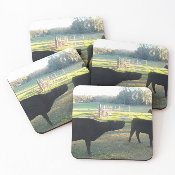 Item preview, Angus Cow - Angus Cattle - Angus Beef designed and sold by animal-animal.