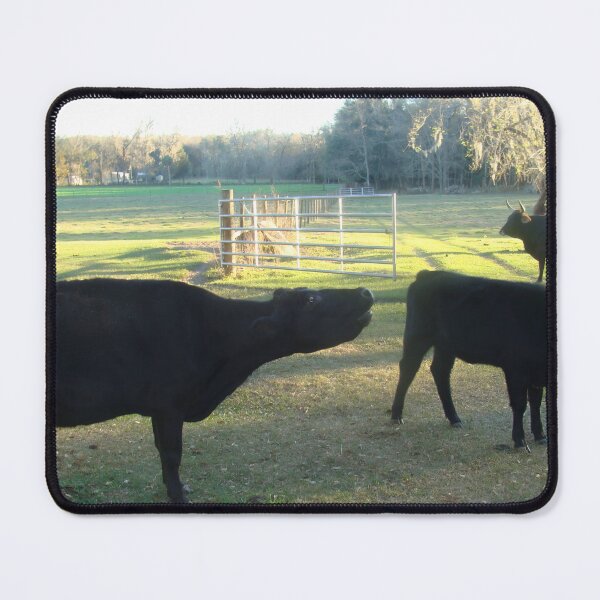 Item preview, Angus Cow - Angus Cattle - Angus Beef designed and sold by animal-animal.