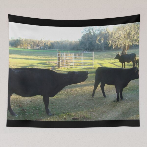 Item preview, Angus Cow - Angus Cattle - Angus Beef designed and sold by animal-animal.