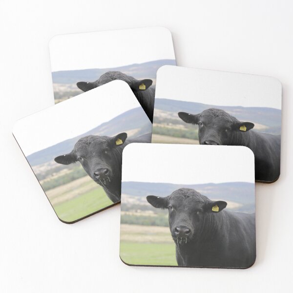 Item preview, Angus Cow - Angus Cattle - Angus Beef designed and sold by animal-animal.