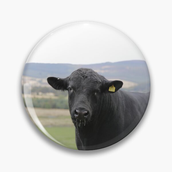 Item preview, Angus Cow - Angus Cattle - Angus Beef designed and sold by animal-animal.