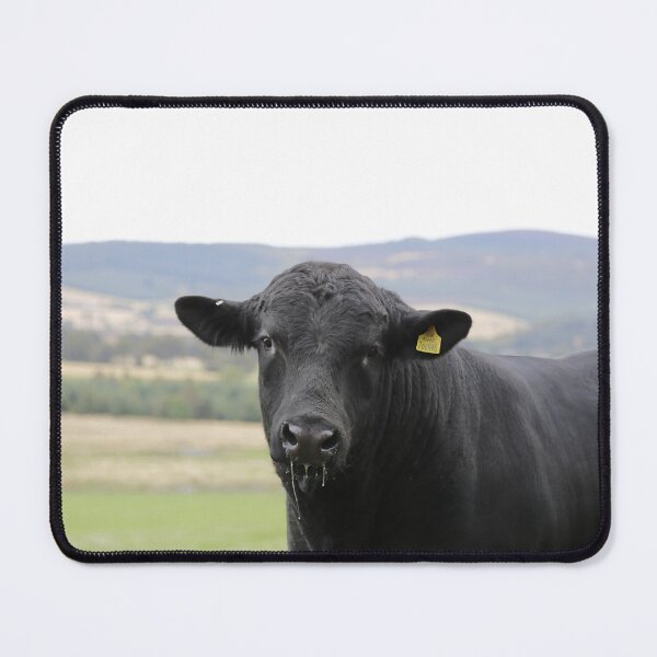 Item preview, Angus Cow - Angus Cattle - Angus Beef designed and sold by animal-animal.