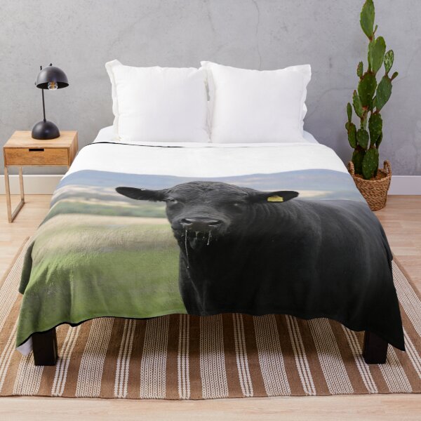 Item preview, Angus Cow - Angus Cattle - Angus Beef designed and sold by animal-animal.