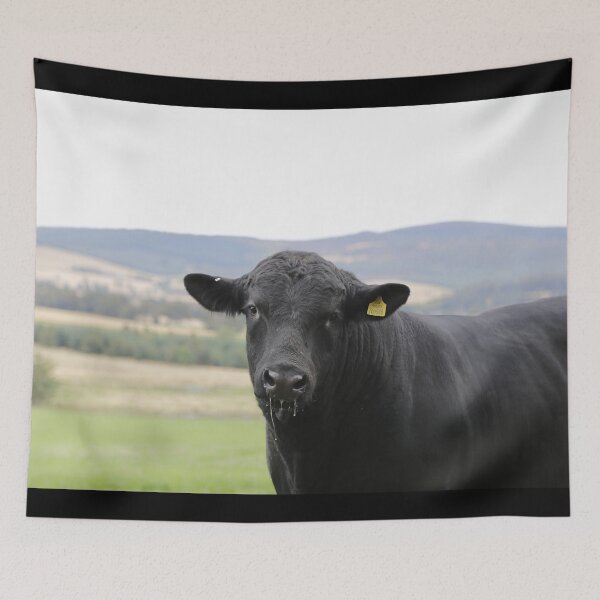 Item preview, Angus Cow - Angus Cattle - Angus Beef designed and sold by animal-animal.