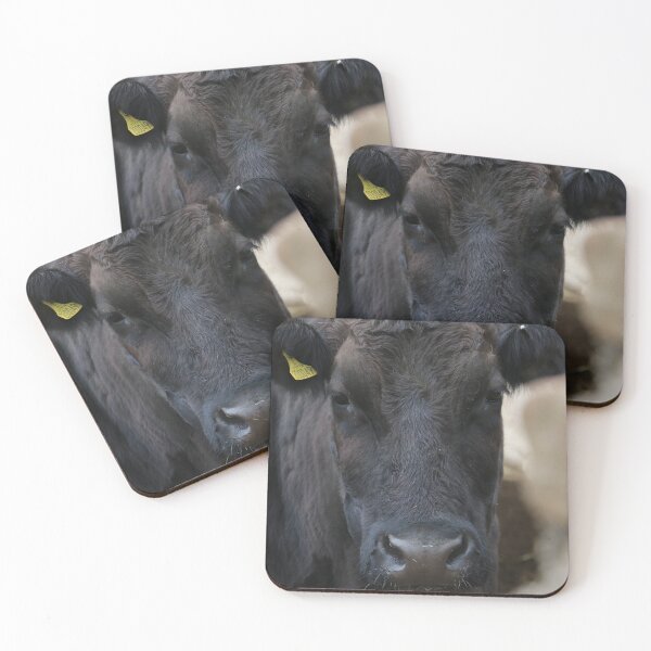 Item preview, Angus Cow - Angus Cattle - Angus Beef designed and sold by animal-animal.