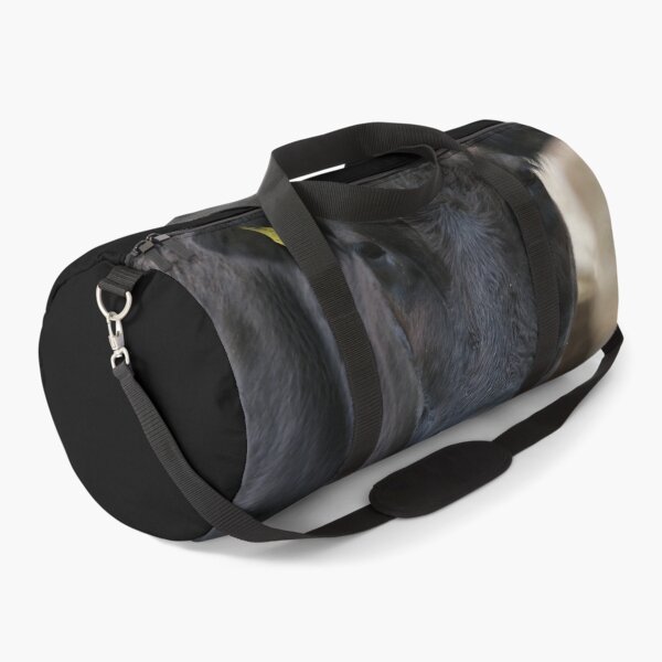 Item preview, Angus Cow - Angus Cattle - Angus Beef designed and sold by animal-animal.