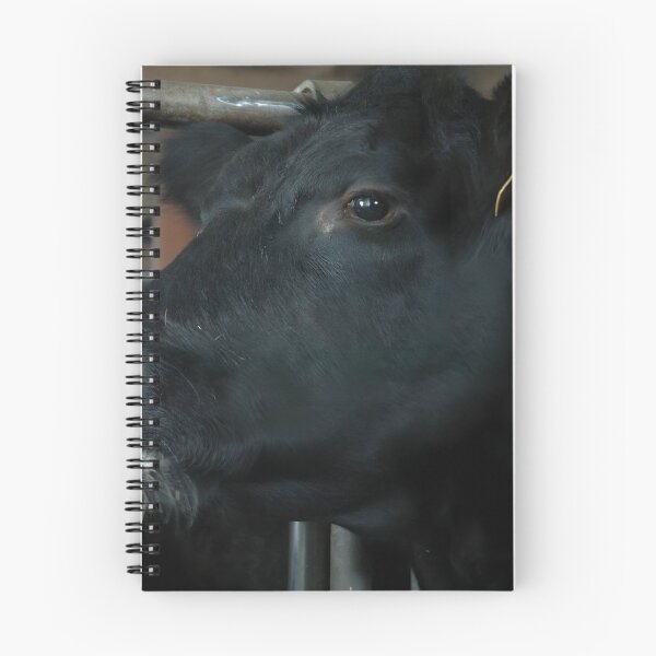 Item preview, Angus Cow - Angus Cattle - Angus Beef designed and sold by animal-animal.