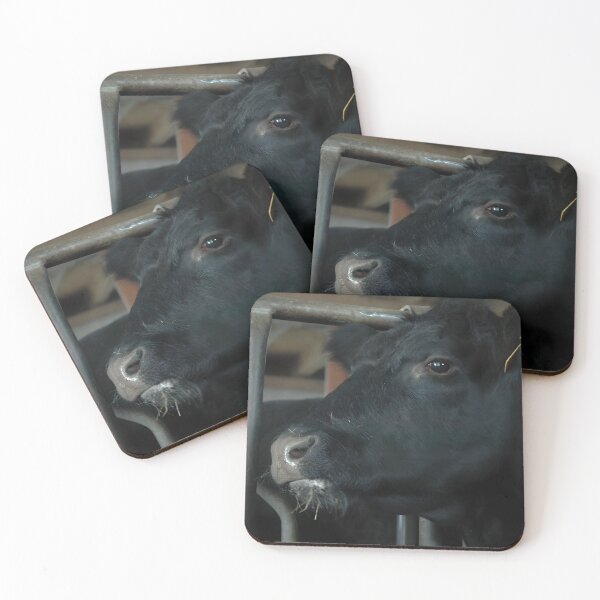 Item preview, Angus Cow - Angus Cattle - Angus Beef designed and sold by animal-animal.