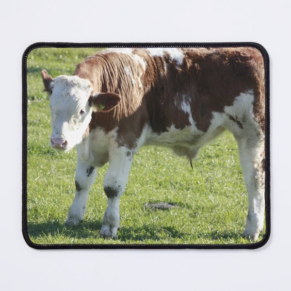 Item preview, calf - spotted cow designed and sold by animal-animal.