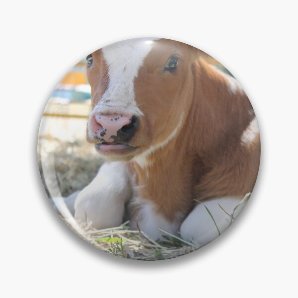 Item preview, calf - spotted cow designed and sold by animal-animal.