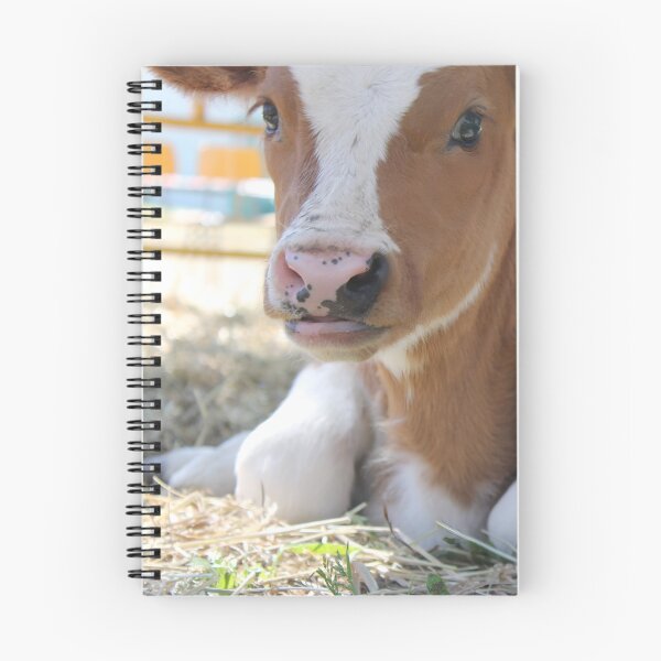 Item preview, calf - spotted cow designed and sold by animal-animal.