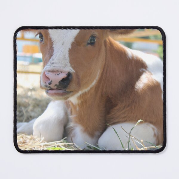 Item preview, calf - spotted cow designed and sold by animal-animal.