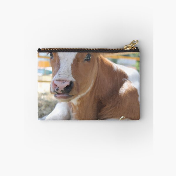 Item preview, calf - spotted cow designed and sold by animal-animal.