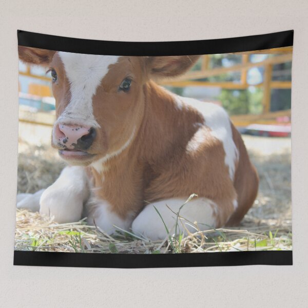 Item preview, calf - spotted cow designed and sold by animal-animal.