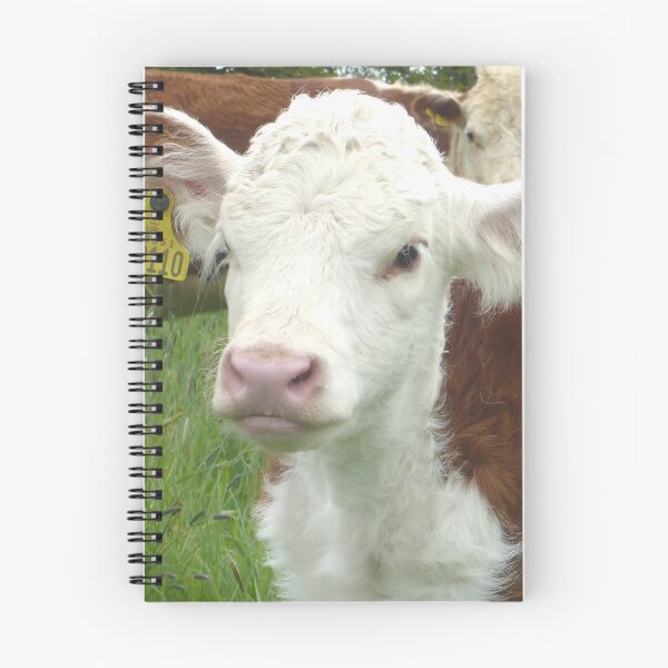 Item preview, calf - spotted cow designed and sold by animal-animal.