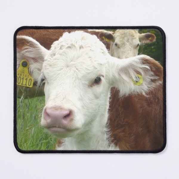 Item preview, calf - spotted cow designed and sold by animal-animal.