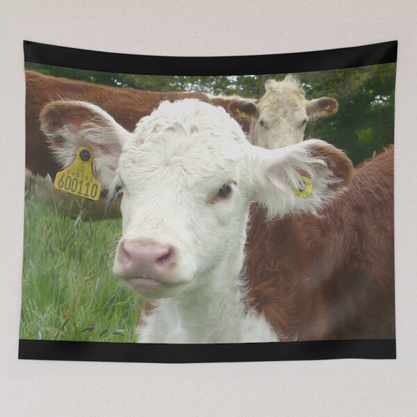 Item preview, calf - spotted cow designed and sold by animal-animal.