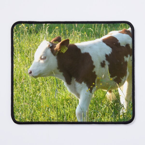 Item preview, calf - spotted cow designed and sold by animal-animal.