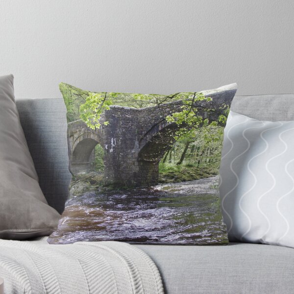 Item preview, Holne Bridge, Dartmoor designed and sold by lezvee.