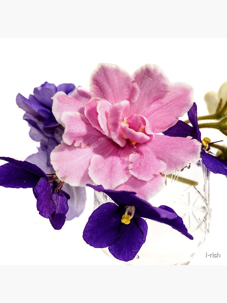 Bolsa de tela «ramo de flores violetas fondo blanco» de I-rish | Redbubble