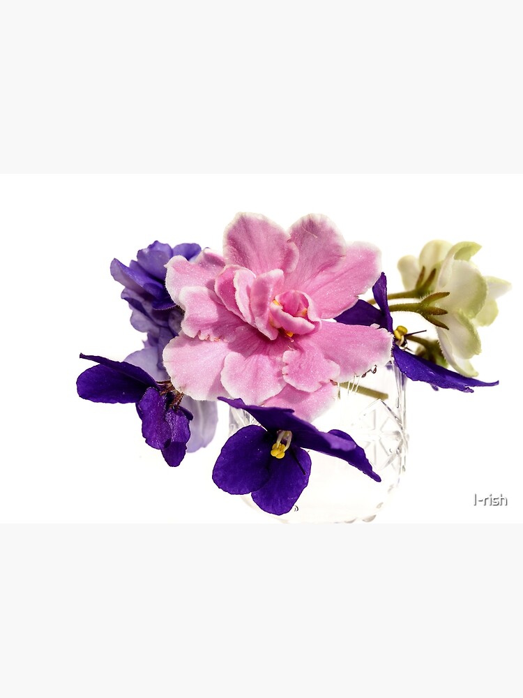 Tarjetas de felicitación «ramo de flores violetas fondo blanco» de I-rish |  Redbubble