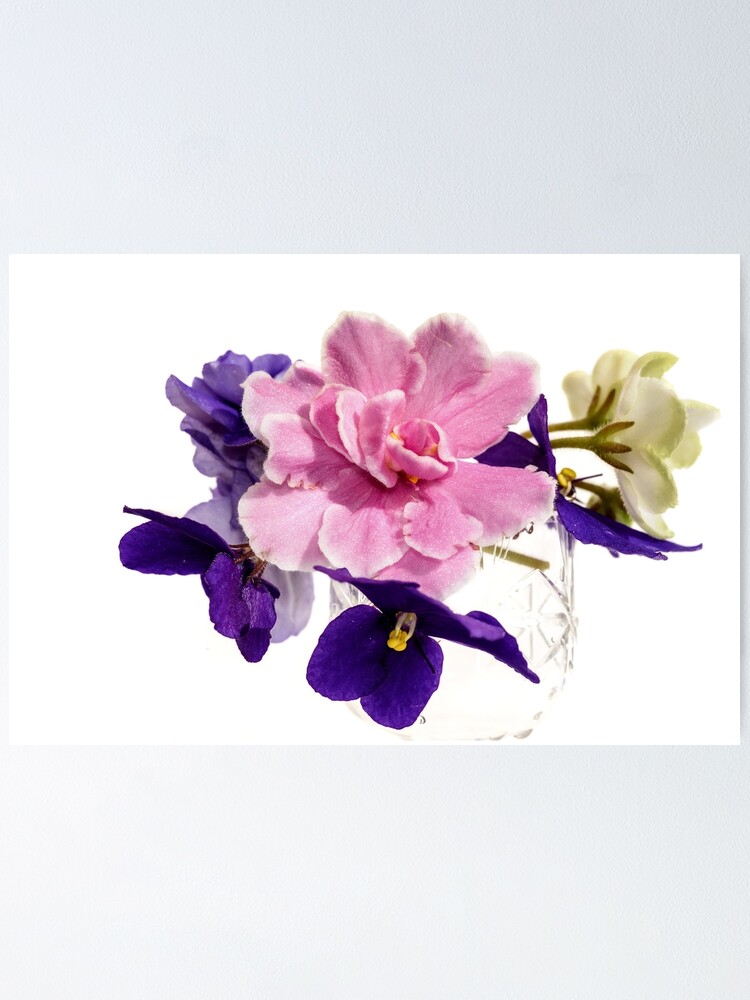 Póster «ramo de flores violetas fondo blanco» de I-rish | Redbubble