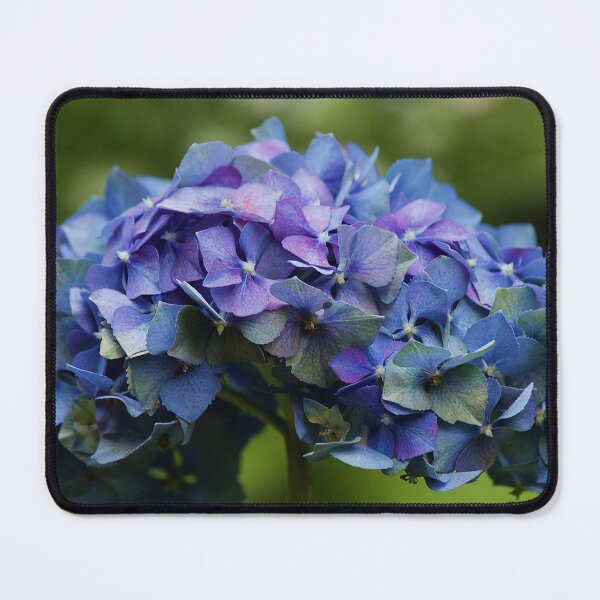Item preview, Blue Hydrangea designed and sold by Kim Chi Thai.