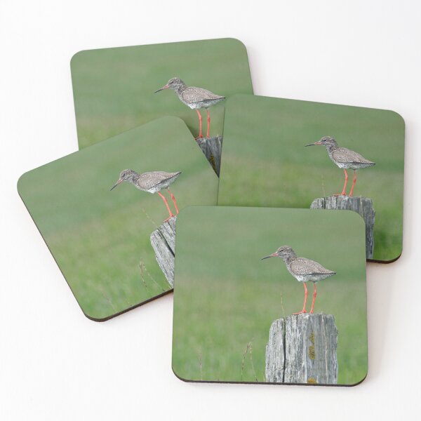 Item preview, Common Redshank designed and sold by Calidris Fotografie Steffi & Ben Köppler.