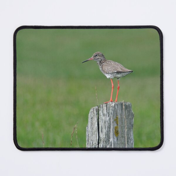 Item preview, Common Redshank designed and sold by Calidris Fotografie Steffi & Ben Köppler.