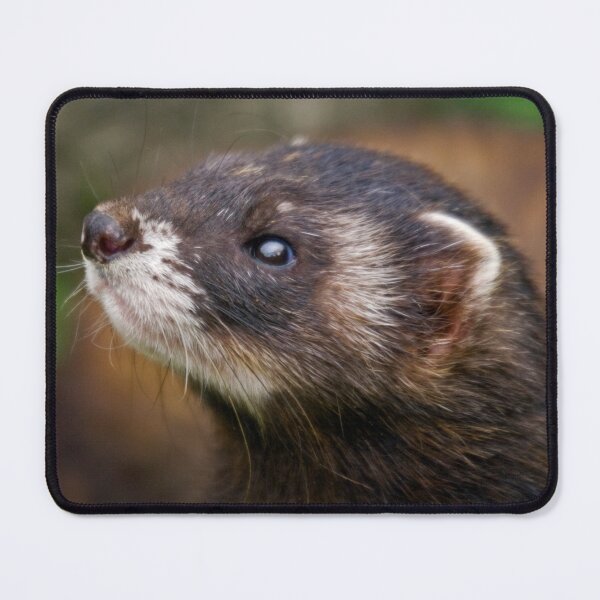 Item preview, Polecat designed and sold by Krys Bailey.