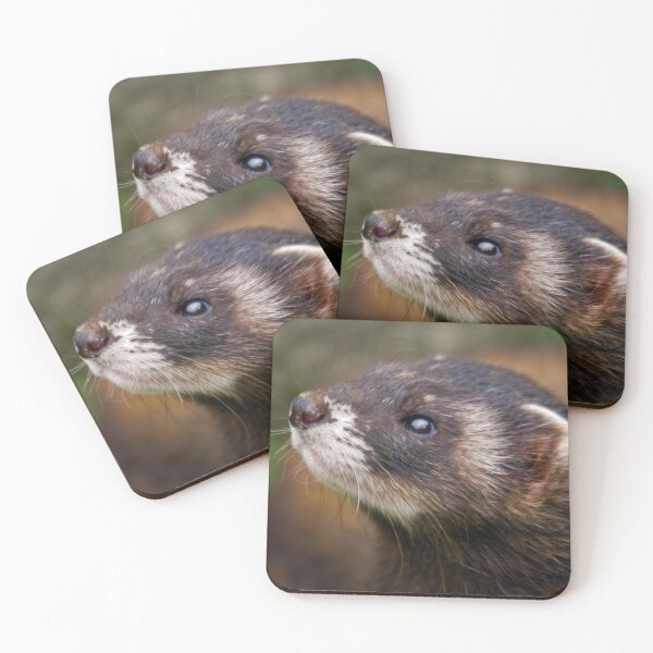 Item preview, Polecat designed and sold by Krys Bailey.