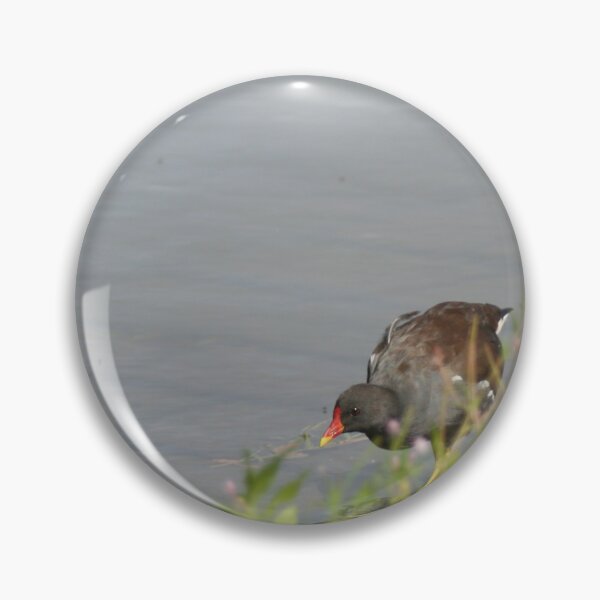 Item preview, Hiding behind the bush designed and sold by Calidris Fotografie Steffi & Ben Köppler.