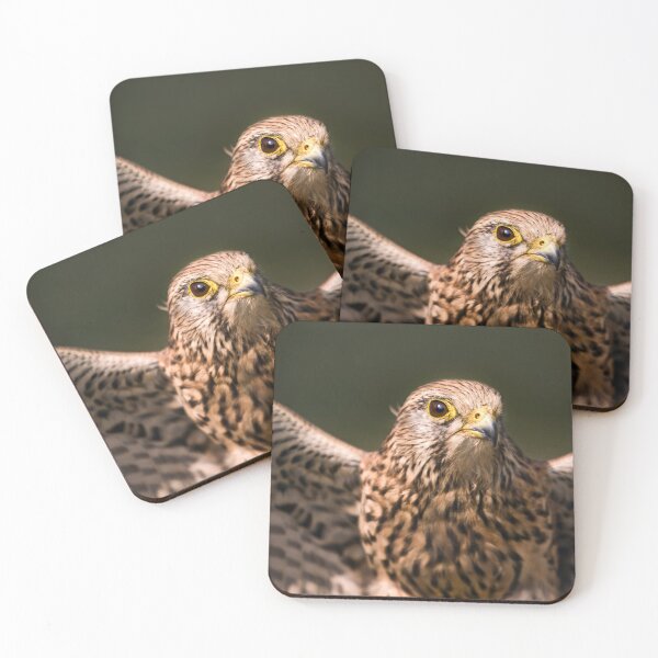 Item preview, Kes designed and sold by Krys Bailey.