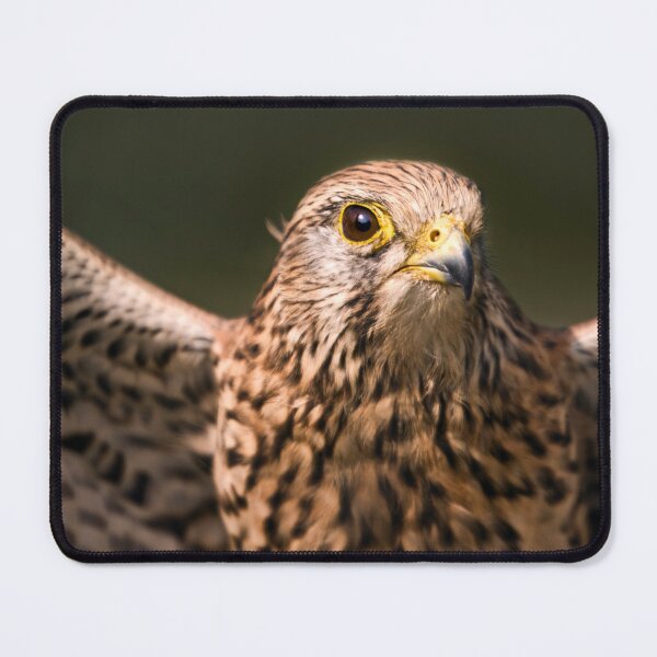 Item preview, Kes designed and sold by Krys Bailey.