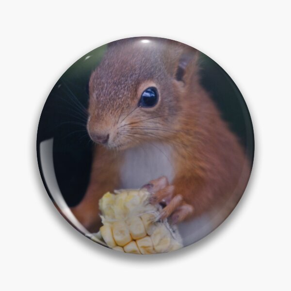 Item preview, Squirrel Banquet designed and sold by Krys Bailey.