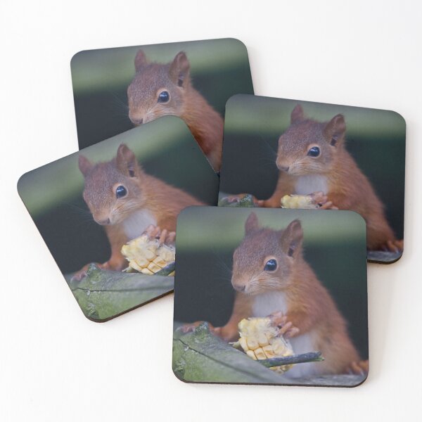 Item preview, Squirrel Banquet designed and sold by Krys Bailey.