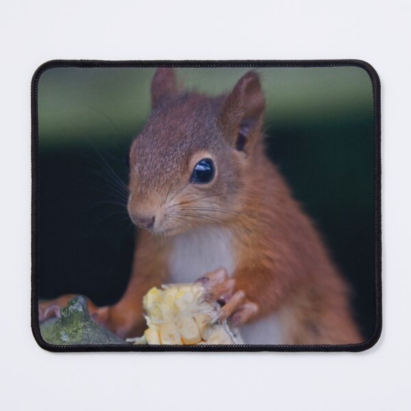 Item preview, Squirrel Banquet designed and sold by Krys Bailey.