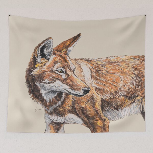 Item preview, Ethiopian wolf art drawing designed and sold by SakalDesign.