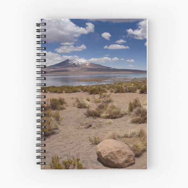 Item preview, Altiplano Oasis designed and sold by Krys Bailey.