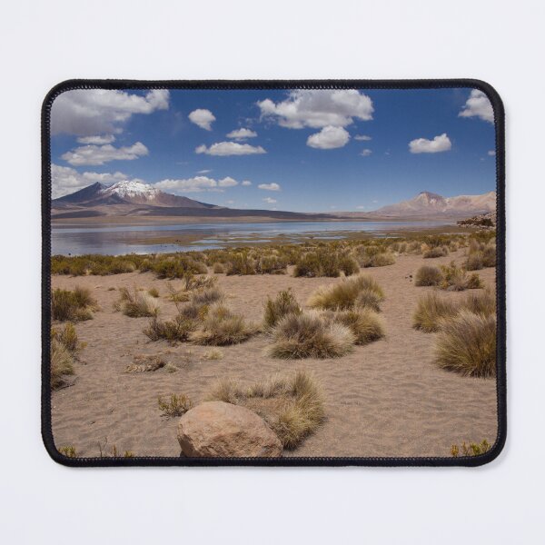 Item preview, Altiplano Oasis designed and sold by Krys Bailey.