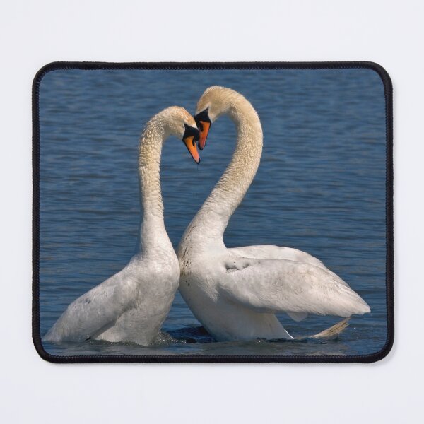 Item preview, Swans in Love designed and sold by Krys Bailey.
