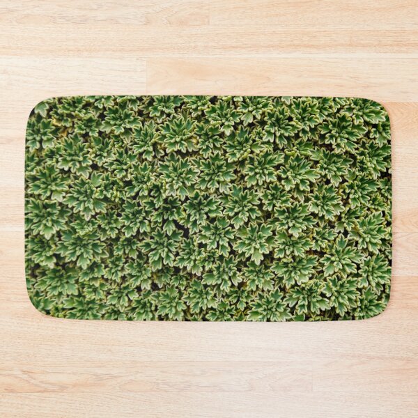 Item preview, Delicate alpine plants in Patagonia designed and sold by stevepaint.