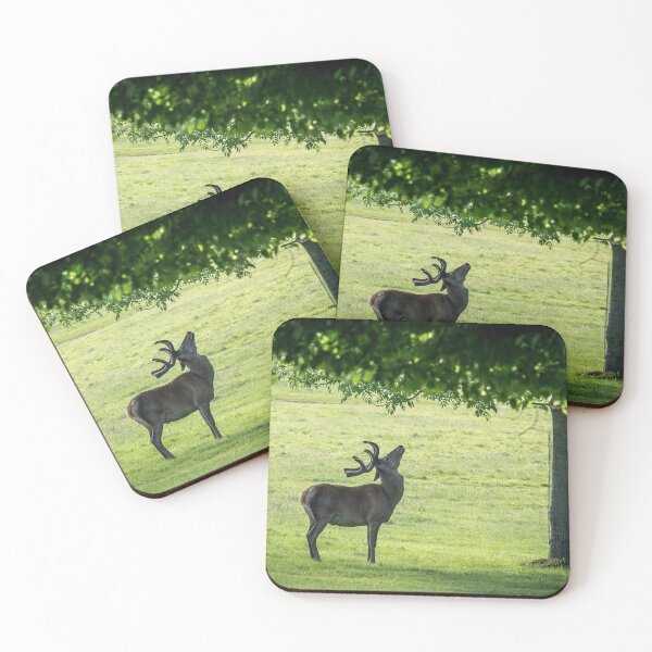 Item preview, Stag eyes-up lush leaves of tree canopy designed and sold by bailey-cooper.